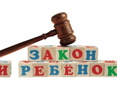 Картинка к материалу: «В рамках Всероссийского дня правовой помощи детям»